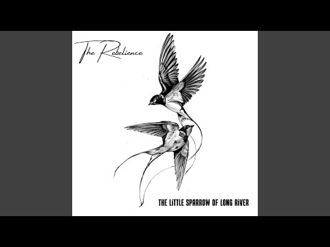 You Said I'm a Fool but Look at You