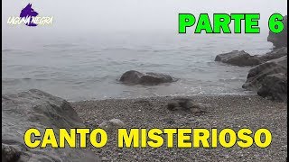 HOMBRE GRABA EL CANTO DE UNA SIRENA ¿REAL O FAKE? PARTE 6