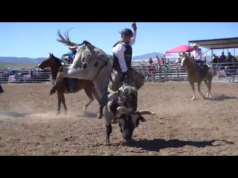 Bancroft 2016 on Billy Bob