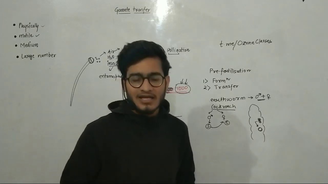 L11: Pre-fertilisation events- Gamete transfer in plants & animals