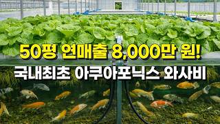 대한민국 최초! 물고기 똥으로 키우는 와사비 스마트팜 (아쿠아포닉스)