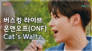 [온앤오프(ONF)] 일곱냥이들의 스윗 보이스! 온앤오프의 Cat's Waltz ♬ @버스킹다이어리