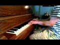 Hedley - One Life (Piano Cover) 