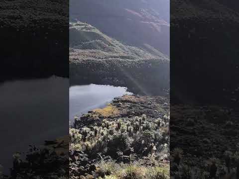 LAGUNAS VERDES TULCÁN CARCHI TAITA CHILES..CERRO NEGRO. MADRE CUMBAL APUS CUIDEMOS EL PARAMO #vida