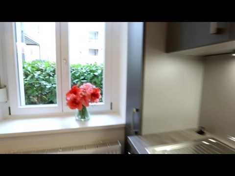 Quiet 2-Room Apartment with Terrace, close to Prenzlauer Berg, Görschstr.