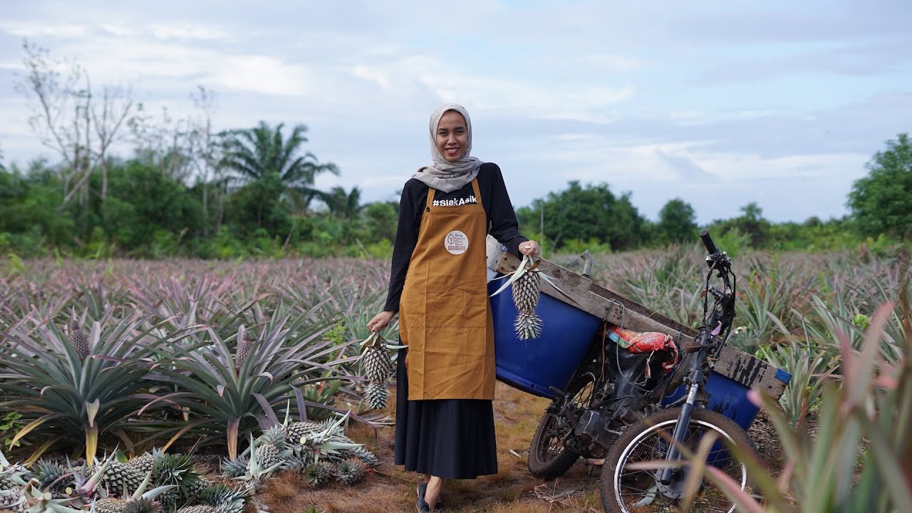 Protecting the Peatlands One Pineapple at a Time
