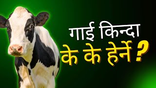 गाई हेर्न जादा वा किन्न जादा के कुरा हेर्न नबिर्सिने !!! #drbhat #buffalo #vet #nepal