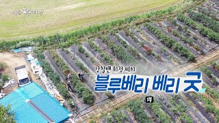 [205회_1부] 강철맨 희정 씨의 블루베리 베리 굿