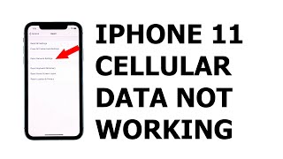 iPhone 11 Cellular Data Not Working After iOS 13.5