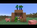 Minecraft Speedrun