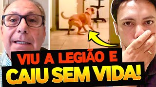A CACHORRO VIU E CAIU SEM VIDA! Se não fosse filmado ninguém acreditaria