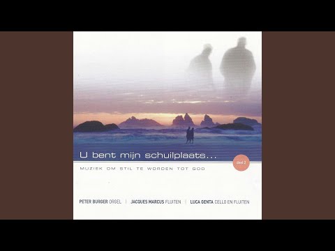 Machtig God, sterke Rots