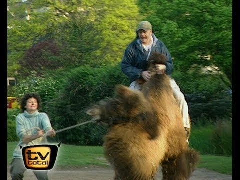 Raab in Gefahr - im Kölner Zoo