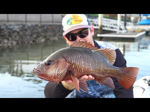 Pontoon Jack Fishing (plus bust offs)