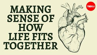 Making sense of how life fits together - Bobbi Seleski