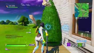 Fortnite Arena Stream