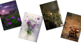 Everything Is Yours   Liz Vice