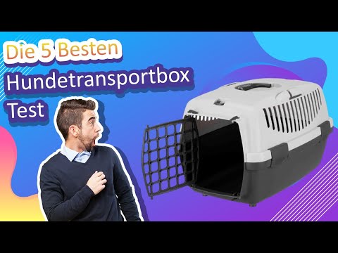 Die 5 Besten Hundetransportbox Test