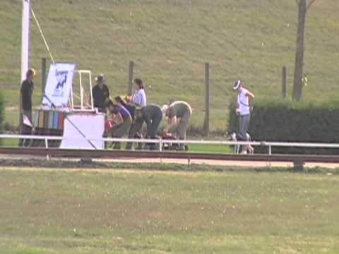 EUROPEAN DERBY 2012 (Rábapatona,HU) 29.-30.9.