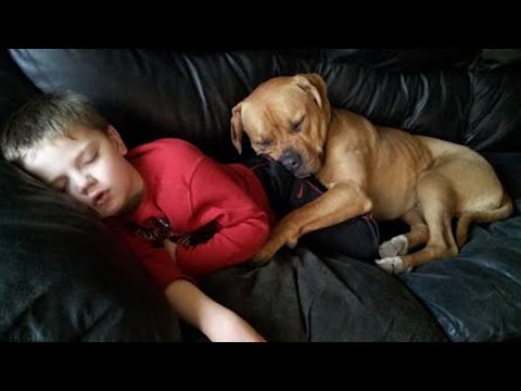 Bébé grandit avec son meilleur ami, le chien ❤️