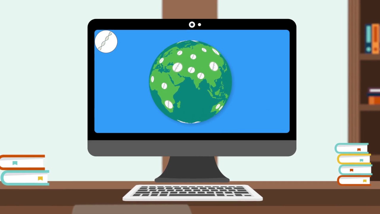 Network science: translating big data into precision medicine