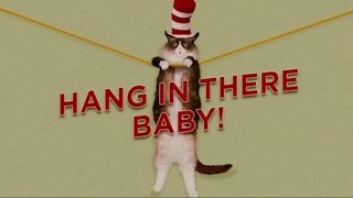 Cat In the Hat Fun, Fun, Fun song but Every "Fun" cuts to cat yelling SON OF A...