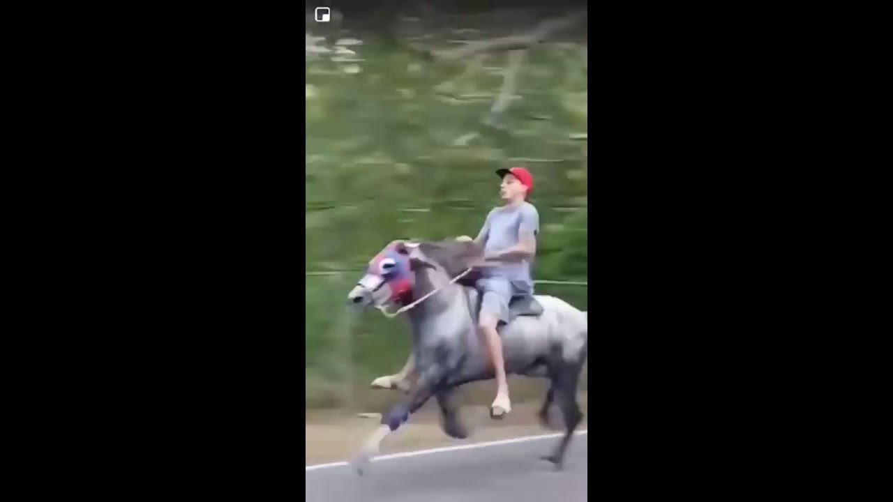 horse running like a human guy screaming very loud