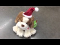 Puppy Dog Singing Dancing Holiday Song It S The Most Wonderful Time Of The Year