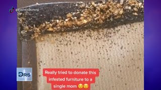 How to Get Rid of Bed Bug-Infested Furniture