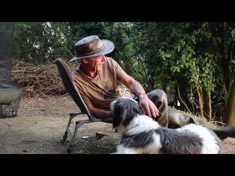 Dave Lane carp blog - Laney’s back, the cookers hot and the nets are wet