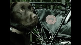 Neutralize Decay (Snow Bunker Version) - DI6