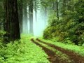 Michael McDermott - Just West Of Eden
