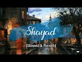 Shayad [ Slowed+Reverb] lyrics - Arijit singh