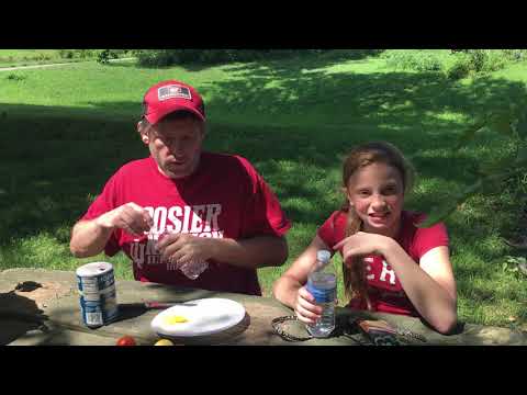 Garden Peach Tomato review