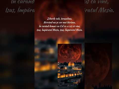 Dina Zaharie & Emanuel Mitrea-De-atâta timp tot ură şi războaie{2025)