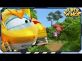 SUPERWINGS Ranking Show Ab In Den Wald Top5 Superflügel Superflügel