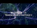 Transmission synaptique et mécanismes post-synaptiques : intégration excitatrice et inhibitrice