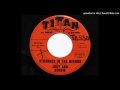 Jody And Bobbie - Stranger In The Mirror (Titan 1736)