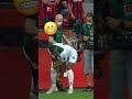 NUTMEG by a Chair ??‍?