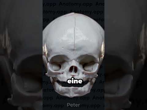 Why babies don't need head touches 👶❌