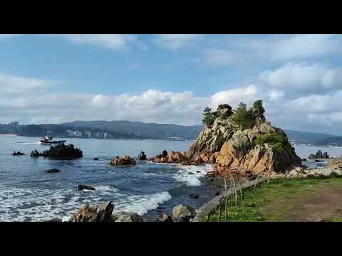 Venta de terreno en Coliumo, Tomé región del bío bío chile .