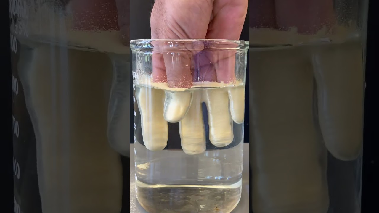 Hydrophobic Club Moss Spores