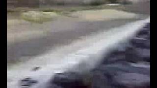 Il pisello di Angelo