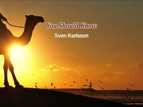 You Should Know by Sven Karlsson