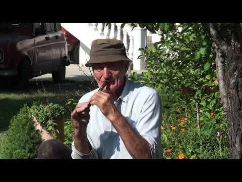 Petar Ljeparevic - Mirijanino kolo - Novo 2015.