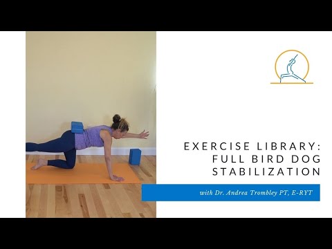 Exercise Library: Full Bird Dog Stabilization (with a block and pulses)