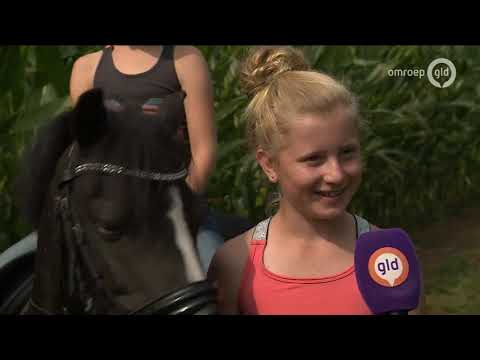 GLD Nieuws 14 augustus 2020