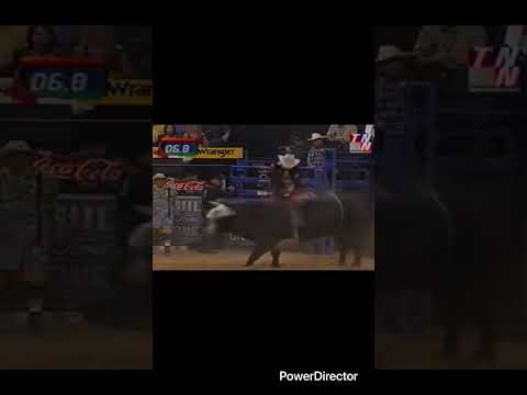 Chris Shivers rides Panda for 90.5 points #bullriding #smallranch #rodeo #pbrbullriding