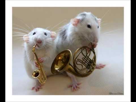 Chuckie Vs Ralvero - Down to Hear ( Dj Fabian S Mashup )