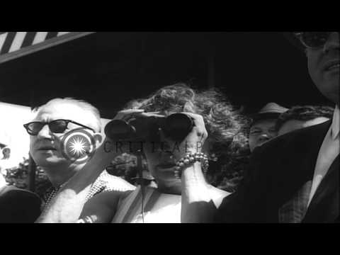 Horse Jaipur wins the Belmont Stakes race. HD Stock Footage